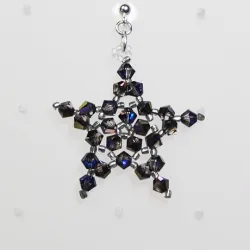 Pierces - Silver brass - Earrings Corvus - Pierces - Silver brass - Laiton argenté
